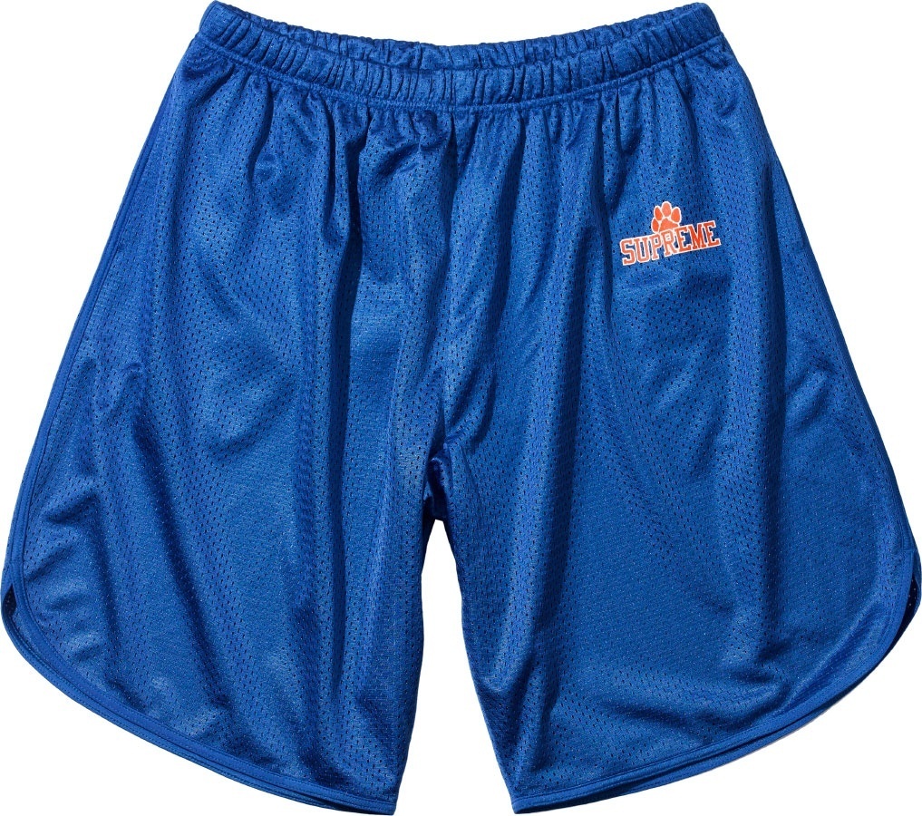 Mesh Short